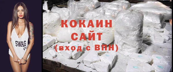мдпв Каменногорск