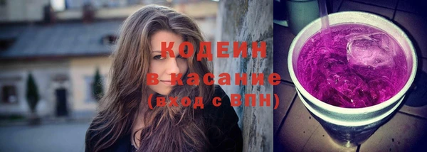 сатива Каменка