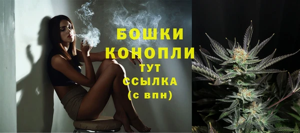 сатива Каменка