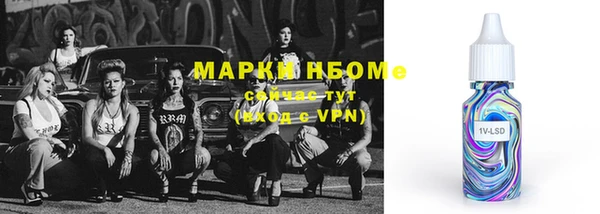мдпв Каменногорск