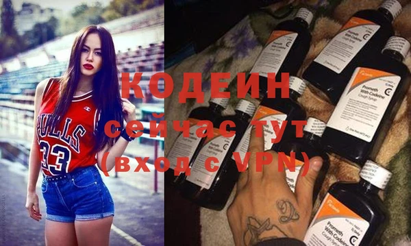 мдпв Каменногорск