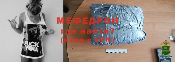 сатива Каменка