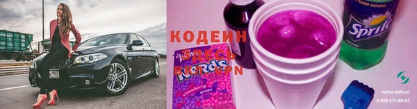 сатива Каменка