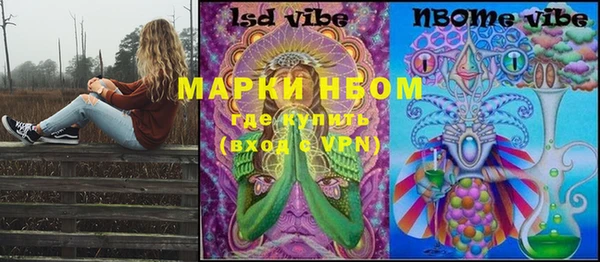 сатива Каменка