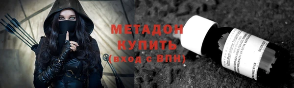 сатива Каменка