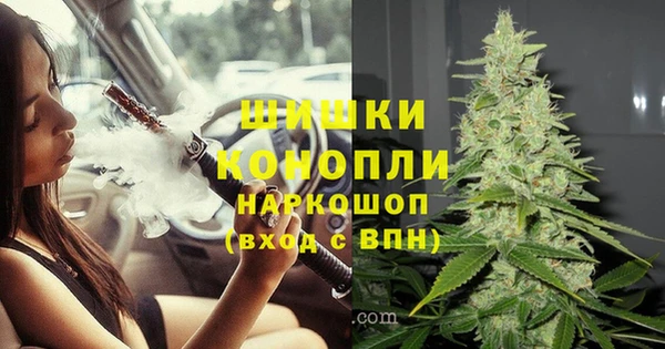 мдпв Каменногорск