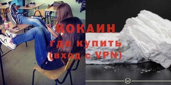 мдпв Каменногорск