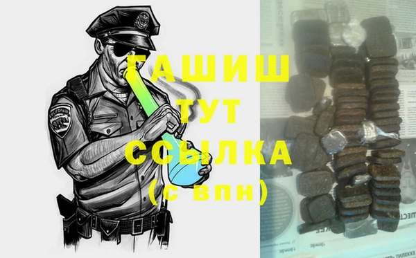 сатива Каменка